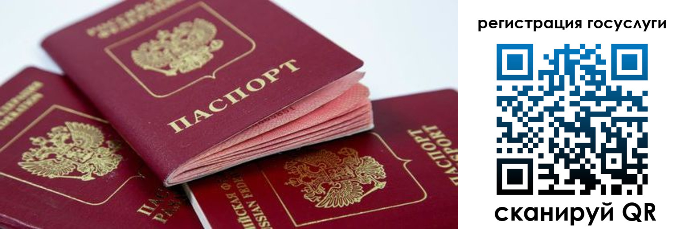 прописка в квартире в Лыткарино
